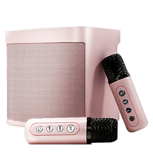 Altoparlante Bluetooth Mini YS203 con Microfono, Speaker Wireless Portatile per Karaoke, Altoparlante per Karaoke da Esterno - Product Image 2