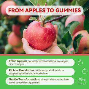 Gomitas de Vinagre de Sidra de Manzana con Certificación OEM/ODM, Marca Privada, GMP, HACCP, QS, ISO, Vitaminas, Belleza, Apoyo Inmunológico para Adultos, Promueven la Salud - Product Image 2