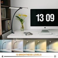 Lampe de table flexible à col de cygne réglable, protection oculaire, lampe de lecture pour architecte, double éclairage de travail LED