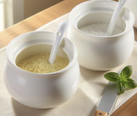Mignon porcelaine sel sucre épices poivre pots ensemble en céramique cuisine stockage assaisonnement boîte Condiment conteneur pour fête