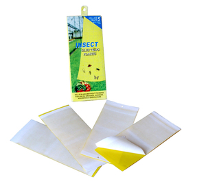 Trappola Luminosa per Insetti da Giardino, Cattura Mosche della Frutta, Insetti e Ragni, Trappola Adesiva in Cartone con Gel Insetticida - Product Image 6
