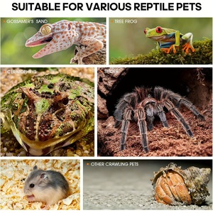 11-12-20cm Crystal Clear Acrylic Vertical Reptile Enclosure Magnetic Arboreal <strong>Gecko</strong> <strong>Tank</strong> for Crested <strong>Gecko</strong> Spider Habitat - Product Image 4