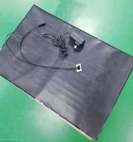 Coussin chauffant personnalisé en PVC 12 V 40x60 cm, chauffage infrarouge lointain en fibre de carbone 12 V avec prise CC pour animaux après chirurgie