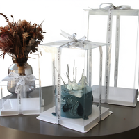 Boîtes à gâteaux jetables transparentes en gros avec ruban et autocollants – Pack de présentation pour gâteaux d'anniversaire et pâtisseries