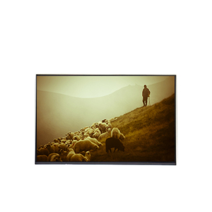 จอ LCD รุ่น Fast Response B170WP04 V0 ขนาด 17.0 นิ้ว ความละเอียด 1440*900 60Hz - Product Image 1