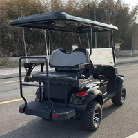 Pièces de voiturettes de golf, kits de carrosserie pour buggy de golf et dune buggy