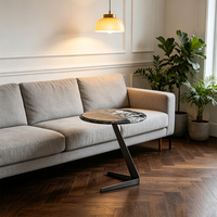 Table basse moderne en acier avec rangement, design minimaliste portable pour chambre et salon, décoration intérieure