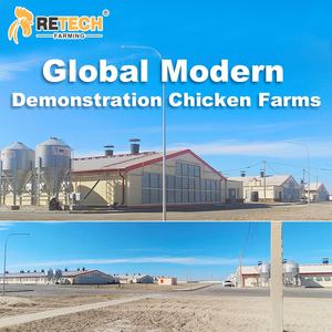 H kandang ayam Broiler 4 tingkat Tipe 4, dengan sabuk penghilang pupuk kandang untuk Broiler 40000 - Product Image 3