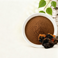 Poudre d'extrait pur de champignon Chaga Inonotus Obliquus Polysaccharides Extrait de Chaga pour complément alimentaire et boisson OEM ODM