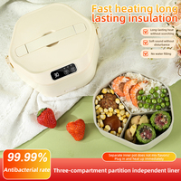 Lunchbox électrique Auto-chauffante 500 Ml - Sans Fil, Rechargeable USB-C - Pour Bureau, école, Camping