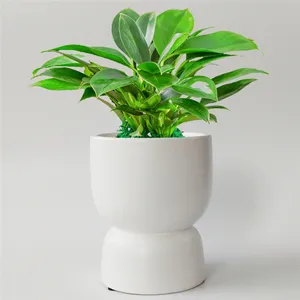 Garden decor succulent plant pots flowerpot balcony decoration ceramic flower pot molds for home