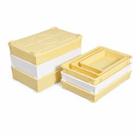 Bac à pâte à pizza en plastique de qualité alimentaire empilable et ventilé, écologique, 22x15x3 pouces, avec couvercle, boîte de levage, caisse de transport pour pain