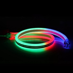 Tira de Luces LED RGB de Neón Digital Programable de Doble Cara, Resistente al Agua IP68, DC24V, para Pared - Product Image 2
