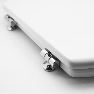 Asiento de Inodoro de Diseño Moderno Senesi Maia 0 S para el Hogar, para Personas con Discapacidad, Bidés Electrónicos con Control Remoto, Hecho de MDF, Plástico y Urea - Product Image 4