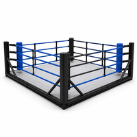 Ring de boxe portable personnalisé 4x4M, pliable, sur pieds, cage MMA sans perçage