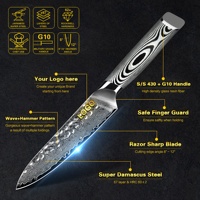 Manche G10 gris 5 ''67 couches Vg10 Couteaux à steak japonais Couteau utilitaire en acier damas à haute teneur en carbone avec lame à motif martelé