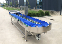Eenvoudig Bedieningsdienblad Type Appel Citroen Perzik Sinaasappel Kiwi Mango Avocado Fruit Grader Sorteermachine Op Gewicht