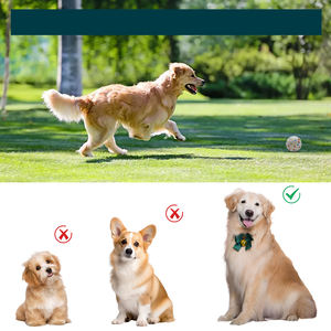 Büyük eğitim elektrikli Thrower Pet açık akıllı cihaz interaktif oyuncak uzaktan kumanda tenis köpek otomatik EPTU topu başlatıcısı - Product Image 4