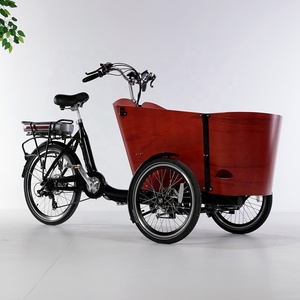 Tricycle électrique pour adulte, vélo cargo familial, cadre en aluminium, 6 vitesses, <span class=keywords><strong>drift</strong></span> tricycle pour l'épicerie et le transport des enfants - Product Image 2