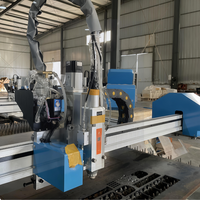 Draagbare Mini Gantry-stijl Goedkope Prijs 4020 4015 Draagbare CNC Plasma 3000W 2000W Snijmachine