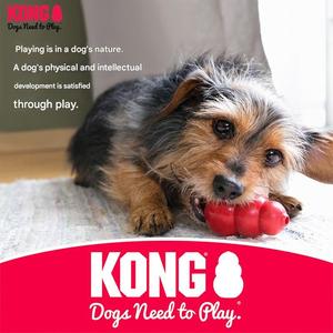 Jouet distributeur de nourriture <span class=keywords><strong>KONG</strong></span> avec tétine en caoutchouc naturel durable pour chiens et chiots de petite à moyenne taille - Jouet de dentition - Product Image 3