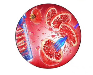 Hot-selling P2.5 Round <b>LED</b> <b>Display</b> Screen, Suitable for Various Advertising Signage Screens. - Product Image 5