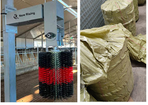 Cepillo <span class=keywords><strong>El</strong></span>éctrico Automático para Vacas con Sensor, Masaje Giratorio para <span class=keywords><strong>la</strong></span> Salud y <span class=keywords><strong>Felicidad</strong></span> del Ganado, Mejora <span class=keywords><strong>el</strong></span> Rendimiento Lechero, Fácil Instalación - Product Image 3