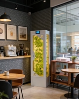 Système de culture hydroponique personnalisé avec éclairage, jardin hydroponique d'intérieur, armoires de culture verticales pour plantes, système de culture