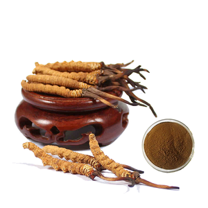 Estratto di GANOHERB Extraits de Plantes Cordyceps Sinensis estratto di sistema immunitario organico potenziatore integratori - Product Image 5