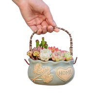 Pots de plantation créatifs modernes en céramique émaillée, écologiques et durables, pour plantes succulentes, avec trou de drainage pour une utilisation en intérieur