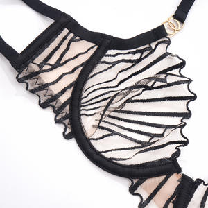 Ensemble de lingerie sexy ultra-fin en maille transparente, soutien-gorge et culotte, ensemble de lingerie haut de gamme ultra-fin 2 pièces - Product Image 5