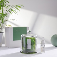 Diffuseur d'huiles essentielles en verre artisanal, écologique, longue durée, à marque privée, pour aromathérapie, naturel, en promotion