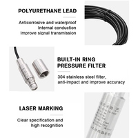 OEM ODM 4-20ma RS485 IP68 Submersible Level Transmitter Sensor SS316L Compatible Huatian CYB3120 Level Measuring Instruments