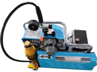 Compresseur d'air respiratoire à moteur monophasé haute pression 225/300bar 100L/Min pour la plongée et la lutte contre les incendies