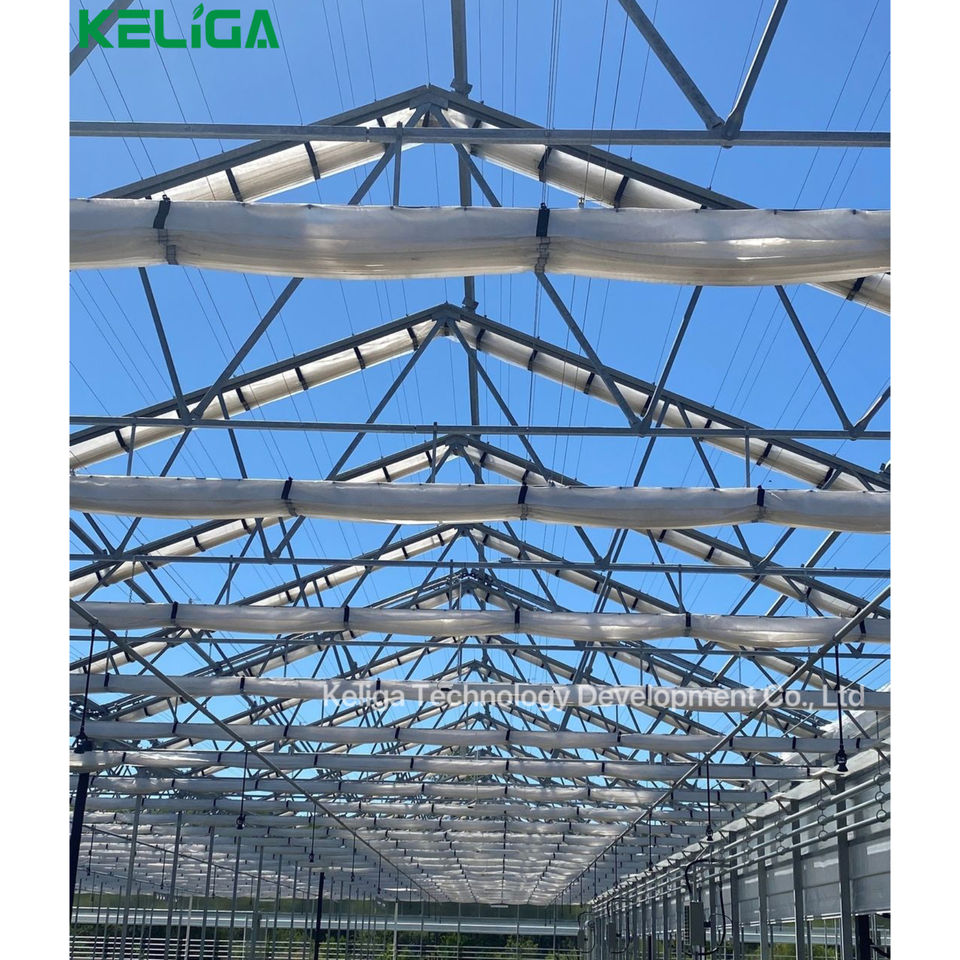 Retractable Roof Greenhouses - Versatile & Durable Solutions