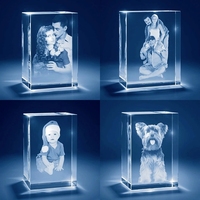 Machine de gravure laser 3D Photo Crystal Subsurface, Nouveau Laser DIODE pour Portrait Animal Crystal Cube Gift Shop Gravure DST