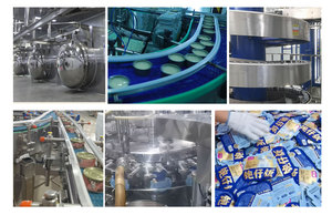 Snacks para Gatos Sin Granos, Comida Húmeda 85G, Salsa Rica, Fórmula de Pollo y Salmón, Venta al por Mayor de Fábrica OEM - Product Image 5