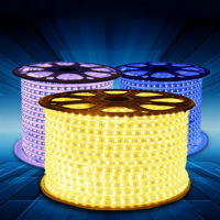 Bande lumineuse LED SMD2835 AC110V 220V 10MM, lumières LED IP67, étanches, en silicone, pour extérieur, 120 LED/m