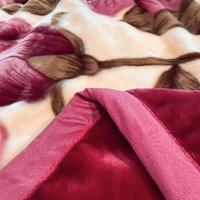 Couverture d'hiver douce à double couche, style arabe, très épaisse, taille King, luxe, 2 plis, en Raschel de vison coréen