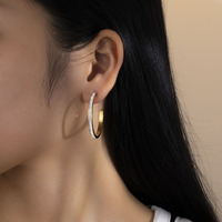 Boucles d'oreilles Ins Simple C Ring Cold Wind Boucles d'oreilles Titanium Steel Double Half Circle avec Diamond Elegant Temperament Stud Earrings