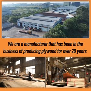 Produttore di Compensato Standard E0 18mm Compensato di Eucalipto e Noce Rivestito in Film di Betulla <span class=keywords><strong>per</strong></span> Uso in Mobili Moderni - Product Image 3