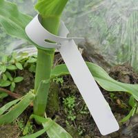 Plantes de pépinière colorées fleurs étiquettes de plantes réglables envelopper autour d'étiquettes de plantes d'arbre de jardin suspendues imperméables