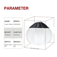 TRIOPO Lanterne Softbox Modificateur de Lumière 55cm à Dégagement Rapide pour Sokani X100 COLBOR Godox Aputure Godox Monture Bowens Lumière Vidéo LED