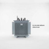 Premium Düşük Kayıplı 3 Fazlı Güç S13-M-400 400kVA 10kV/0.4kV Dış Mekan Yağlı Tip Dağıtım Trafosu 5 Kademeli Tapalı