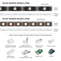 BTF-LIGHTING IP68 étanche extérieur 12V 5m 60leds/m WS2815 RGB adressable individuellement 5050SMD double signal LED Pixel Strip