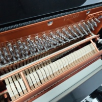 Feurich F122 Universal Series Upright Piano German Craftsmanship for Home Learning and Performance