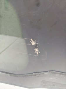 Vitre UV côté voiture du quart arrière droit du fabricant OEM pour voitures MPV - Product Image 3