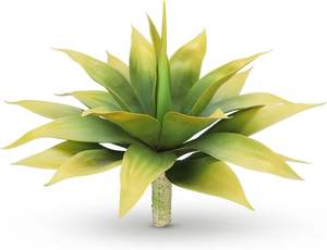 Plante <span class=keywords><strong>d</strong></span>'<span class=keywords><strong>Agave</strong></span> Jaune pour la <span class=keywords><strong>D</strong></span>écoration de la Pièce, Plante <span class=keywords><strong>d</strong></span>'<span class=keywords><strong>Agave</strong></span> Artificielle Non En Pot pour la <span class=keywords><strong>D</strong></span>écoration Extérieure/Intérieure - Product Image 4