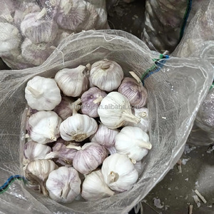 <span class=keywords><strong>Ajo</strong></span> Fresco Normal <span class=keywords><strong>Ajo</strong></span> Blanco Al Por Mayor 20KG Bolsa De Malla <span class=keywords><strong>Ajo</strong></span> Fresco - Product Image 2