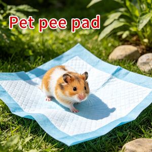 Fast Absorbing Pet Training <b>Pads</b> Lock Liquid Instantly with SAP Core Multi-size Heavy Duty Pet Pee <b>Pads</b> for <b>Dog</b> Housebreaking - Product Image 6
